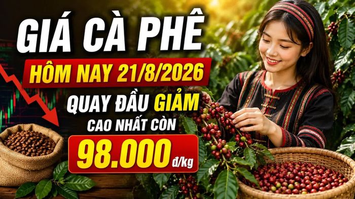 Hình minh họa.