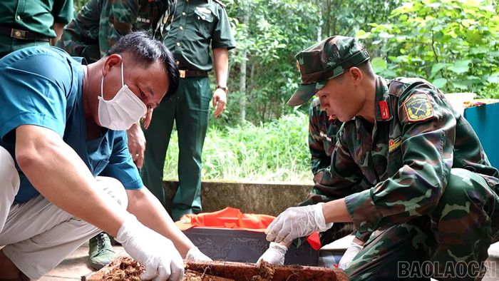 Tỉnh Lào Cai đã thu nhận 825 mẫu ADN hài cốt liệt sĩ đủ điều kiện xác minh thông tin.
