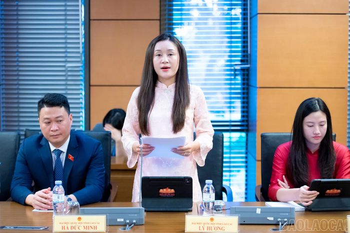 Đại biểu Lý Hương tham gia thảo luận tại Tổ.