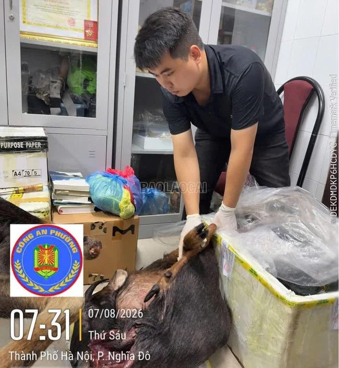 Tang vật vụ án.