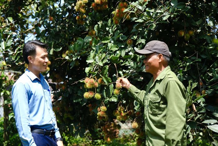 Người dân vùng đồng bào dân tộc thiểu số tại Đồng Nai Thượng tích cực phát triển kinh tế nông nghiệp