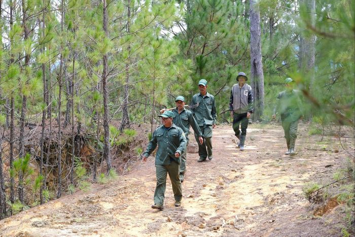 Các thành viên trong tổ dự bị động viên tham gia quản lý, bảo vệ rừng tuần tra tại các tiểu khu trên địa bàn xã Lạc Dương