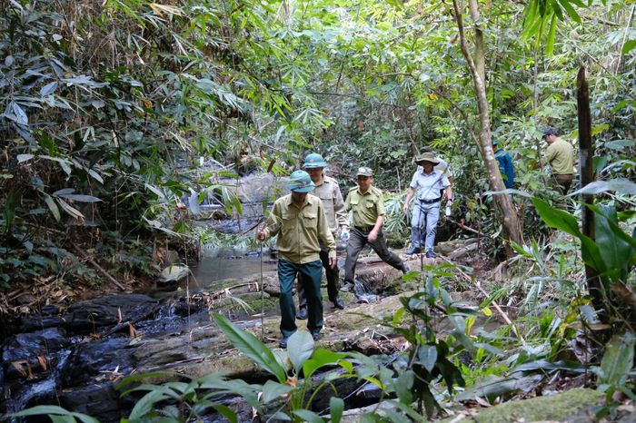 Chính quyền các địa phương phối hợp cùng các đơn vị chức năng đi thực tế tuần tra rừng trên địa bàn