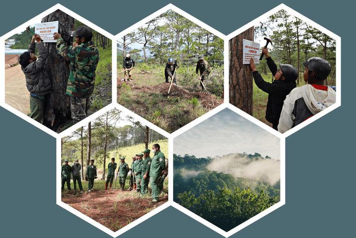 Sau sáp nhập, xã Lạc Dương có địa bàn rộng, tỷ lệ đồng bào DTTS cao, đời sống người dân gắn với việc tham gia nhận khoán bảo vệ rừng trên địa bàn