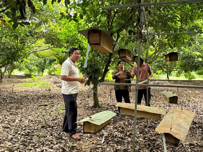 Mô hình nuôi ong dú của ông Trần Văn Thức xã Cát Tiên 2