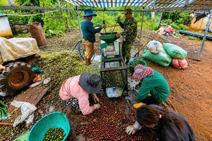Sự thay đổi đang từng bước hình thành tư duy sản xuất mới trong đồng bào DTTS Lâm Đồng