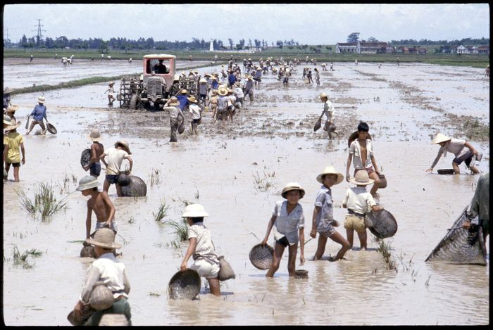 Tác phẩm của Daniel Roussel
