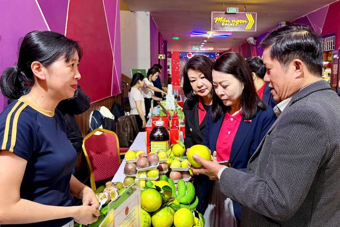 Các đại biểu tham quan, tìm hiểu các sản phẩm trưng bày