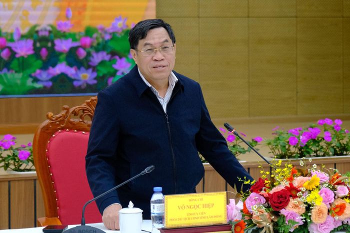 Đồng chí Võ Ngọc Hiệp, Tỉnh ủy viên, Phó Chủ tịch UBND tỉnh phát biểu kết luận tại buổi làm việc