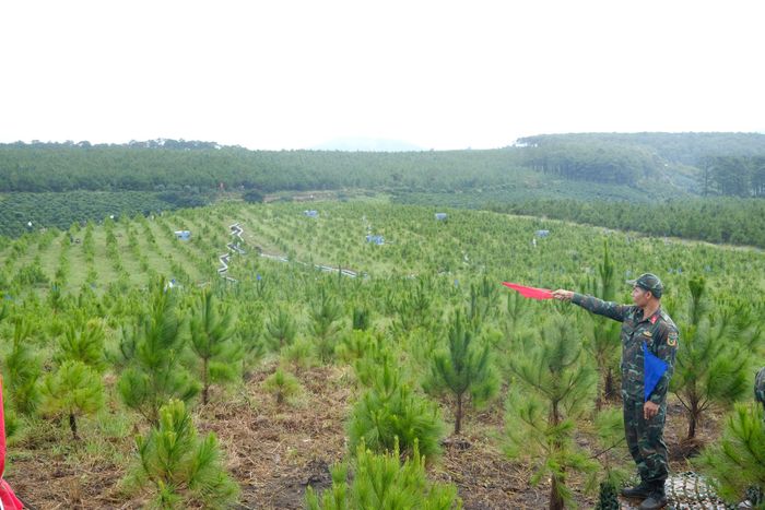Diễn tập thực binh đề mục “Trung đội dân quân cơ động chiến đấu tập kích địch tạm dừng ở địa hình rừng núi”