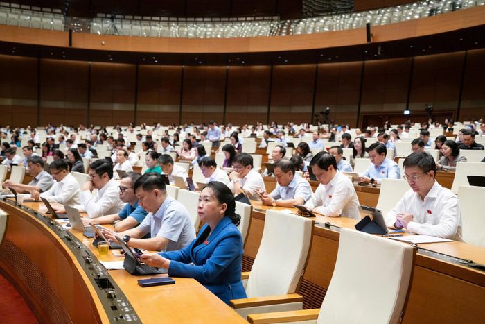 Các đại biểu tham dự