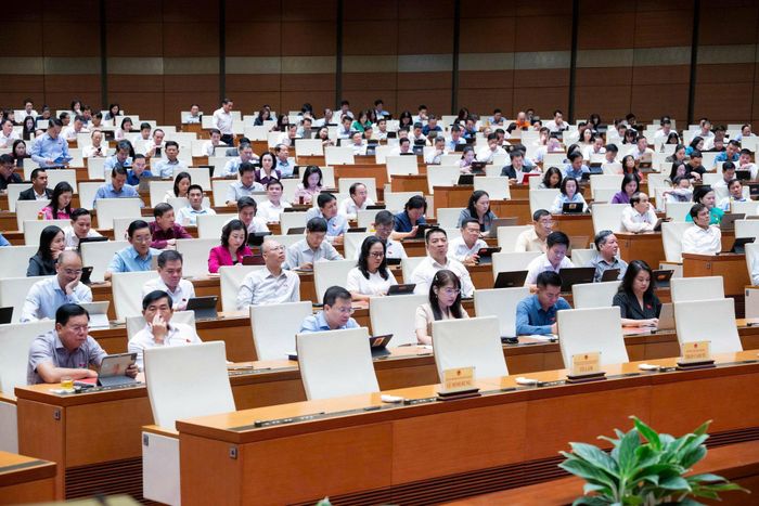 Các đại biểu tham dự