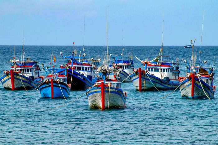 Tàu thuyền đánh bắt hải sản trên biển