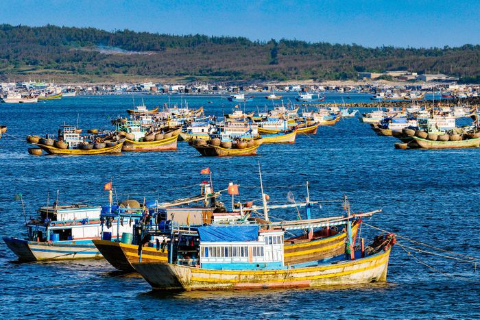 Tàu thuyền đánh bắt hải sản ở đặc khu Phú Quý