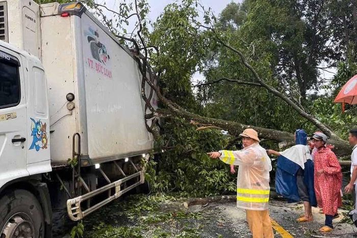 Cây xanh ngã đổ trên đèo Chuối, Quốc lộ 20 chiều 20/8 (Ảnh: CTV)