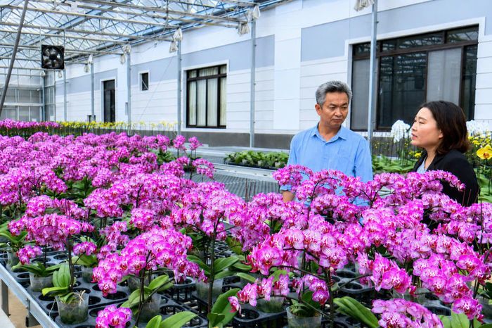 Xã Hiệp Thạnh (Lâm Đồng) là địa phương đi đầu trong ứng dụng công nghệ trong nông nghiệp