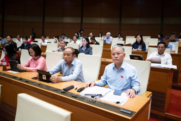 Các đại biểu tham dự