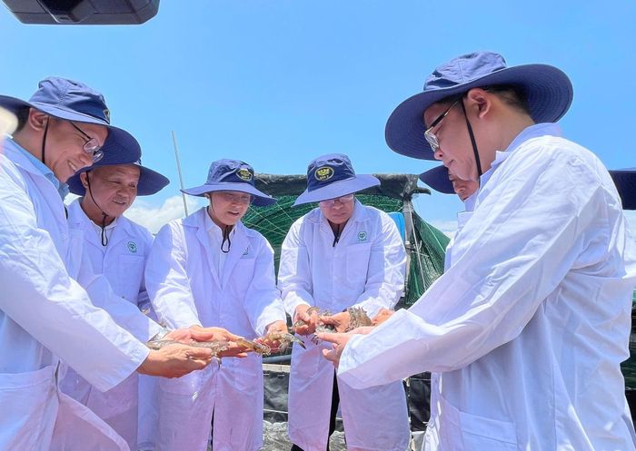 Phó Chủ tịch UBND tỉnh Nguyễn Minh cùng các thành viên trong Đoàn tham quan mô hình nuôi tôm công nghệ cao tại Trang trại nuôi tôm công nghiệp Bảo Ý