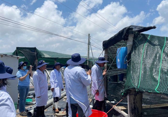 Phó Chủ tịch UBND tỉnh Nguyễn Minh cùng các thành viên trong Đoàn tham quan mô hình