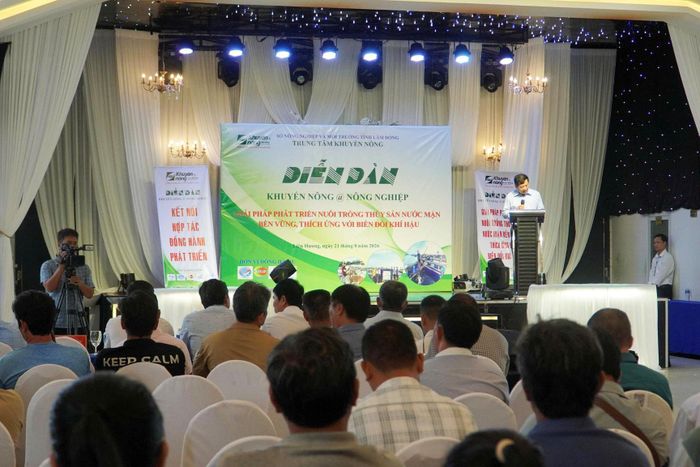 Toàn cảnh diễn đàn
