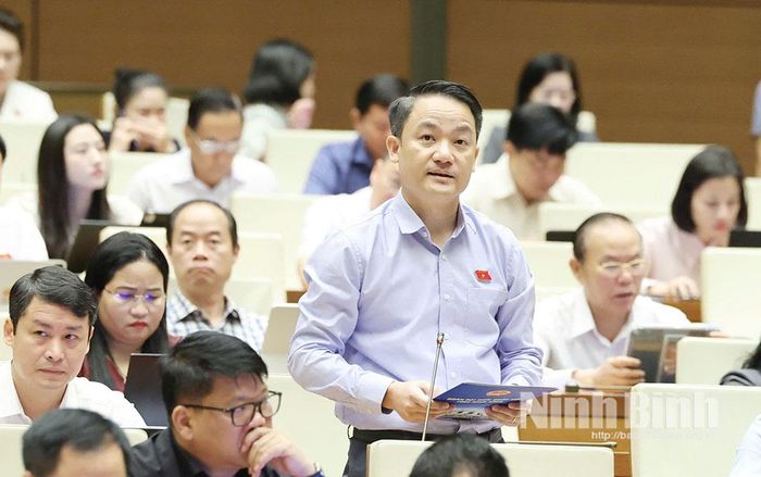 Đại biểu Lê Văn Thế, Tỉnh ủy viên, Phó Trưởng Đoàn ĐBQH chuyên trách tỉnh Ninh Bình phát biểu thảo luận tại Hội trường.