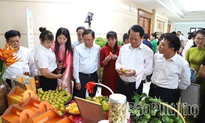Đại biểu tham quan một số gian hàng giới thiệu sản phẩm OCOP tại hội nghị.