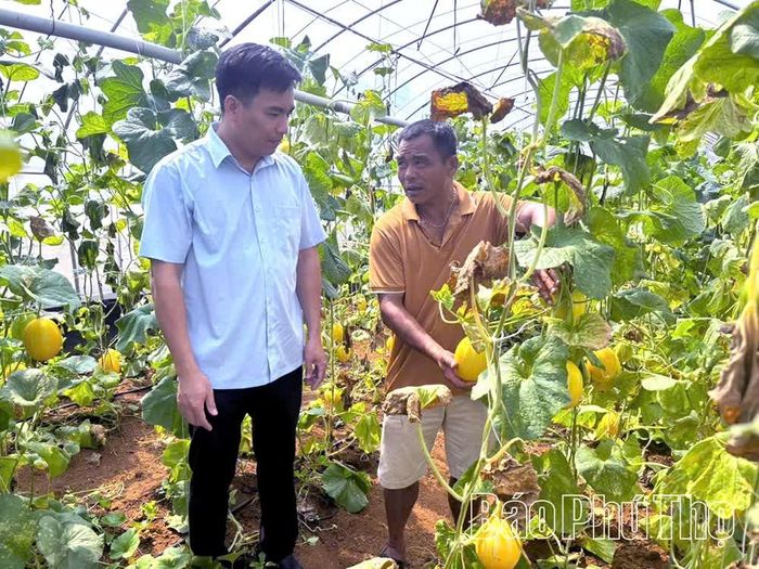 Hợp tác xã Nông nghiệp dịch vụ - cung ứng thực phẩm Đà Bắc ứng dụng công nghệ cao vào sản xuất, tiết giảm chi phí, nâng cao chất lượng nông sản, từng bước khẳng định vị thế trên thị trường.
