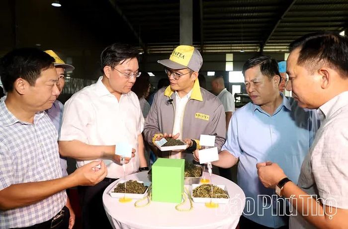 Chủ tịch UBND tỉnh Trần Duy Đông thăm dây chuyền sản xuất chè xanh chất lượng cao tại Nhà máy chè Phú Long thuộc Công ty Chè Phú Đa (Tổng Công ty Chè Việt Nam - Vinatea).