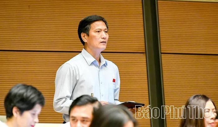 Đại biểu Quốc hội tỉnh Phú Thọ Vương Kim Ánh thảo luận tại hội trường.