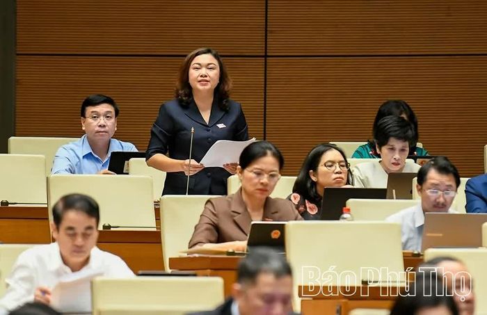 Đại biểu Quốc hội tỉnh Phú Thọ Đặng Bích Ngọc thảo luận tại hội trường.