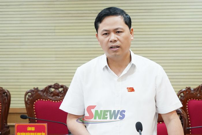 Đồng chí Phó Chủ tịch HĐND tỉnh phát biểu tại hội nghị.