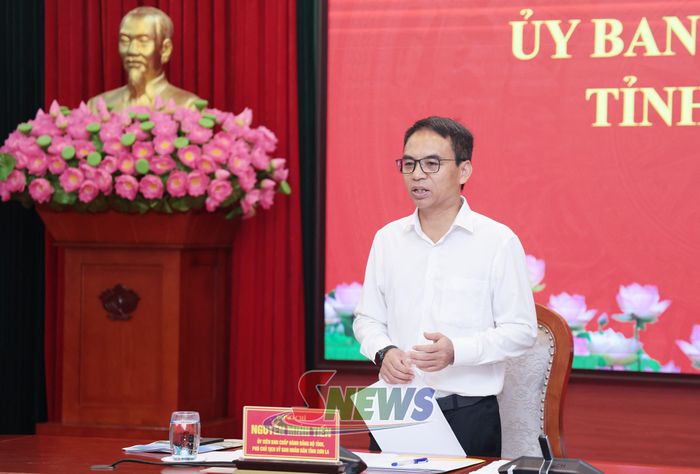 Đồng chí Phó Chủ tịch UBND tỉnh phát biểu tại cuộc làm việc.