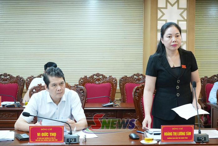 Lãnh đạo Ban Dân tộc, HĐND tỉnh phát biểu tại hội nghị.