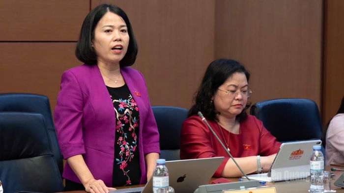 Đại biểu Lý Thị Lan, Phó Trưởng đoàn ĐBQH chuyên trách tỉnh tham gia phát biểu.