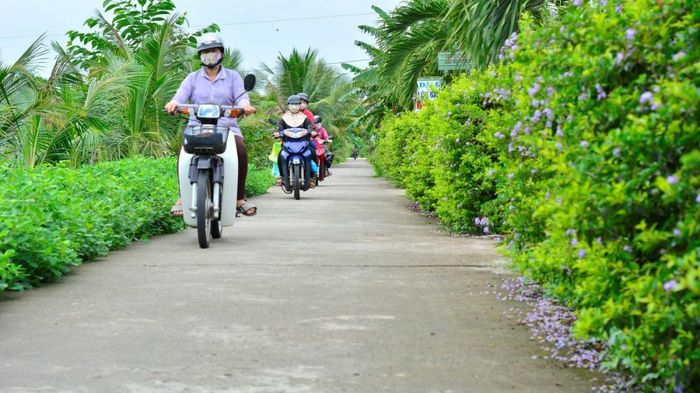 Tân Hiệp đang tập trung nguồn lực hoàn thiện kết cấu hạ tầng phục vụ sản xuất, dân sinh.