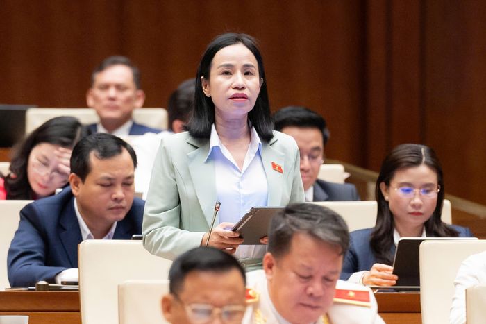 Đại biểu Võ Ngọc Thanh Trúc (đoàn TP.HCM). Ảnh: Media Quốc hội.