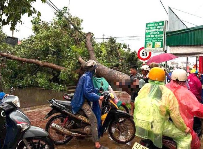 Hiện trường cây xanh bật gốc đè trúng người đi xe máy, nam thanh niên tử vong.