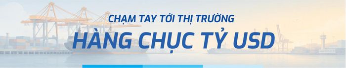 Nhưng kể cả chúng ta đầu tư hơn nữa cho cảng, cho đội tàu thì cũng vẫn là một tư duy cũ, như ông nói cần là phải tạo ra "một thị trường" và cách giữ lại những giá trị trong nước. Nó cụ thể là gì?
