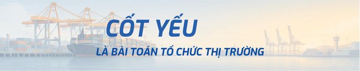 Theo ông nguyên nhân cốt lõi khiến đội tàu Việt Nam không giành được thị phần là gì?