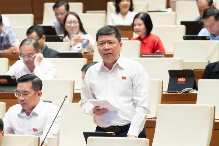 Đại biểu Tạ Văn Hạ (đoàn Đà Nẵng) phát biểu. Ảnh: Quochoi.vn