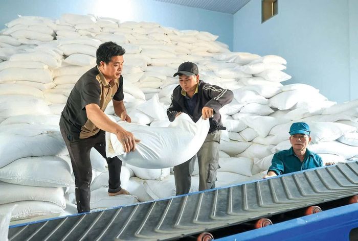 Chi cục Dự trữ Nhà nước khu vực V xuất cấp gần 12.617 tấn gạo hỗ trợ cho 3 địa phương Sơn La, Lai Châu và Điện Biên. Ảnh: Đức Thanh