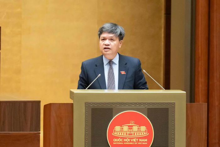 Phó Chủ nhiệm Ủy ban Khoa học, Công nghệ và Môi trường Tạ Đình Thi trình bày báo cáo thẩm tra. Ảnh: Quochoi.vn