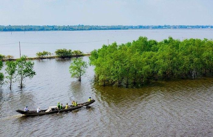 Tăng cường tuần tra bảo vệ hệ sinh thái.