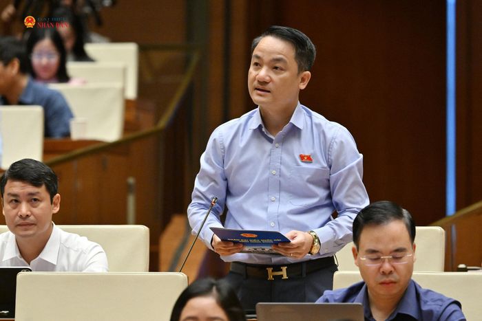 ĐBQH Lê Văn Thế (Ninh Bình) phát biểu