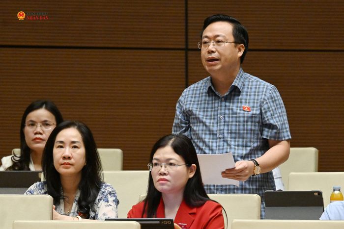 ĐBQH Nguyễn Đại Thắng (Hưng Yên) phát biểu
