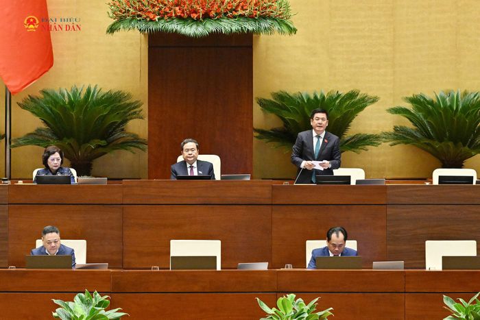 Phó Chủ tịch Quốc hội Nguyễn Hồng Diên phát biểu kết luận nội dung thảo luận. Ảnh: Khánh Duy