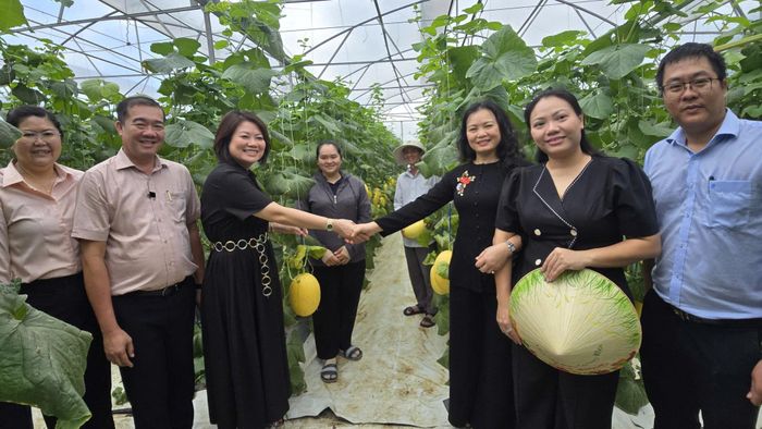 Các đại biểu chụp hình lưu niệm tại nông trại trồng dưa lưới. Ảnh: Thạc Hiếu