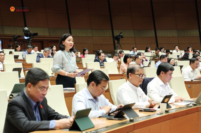 ĐBQH Trương Thị Bích Hạnh (TP. Hồ Chí Minh) phát biểu
