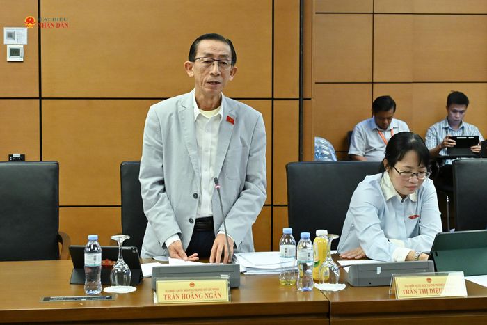 ĐBQH Trần Hoàng Ngân (TP. Hồ Chí Minh) phát biểu