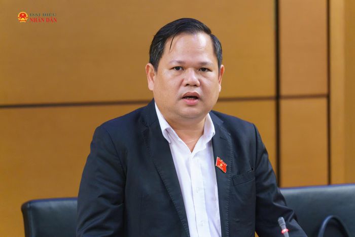 ĐBQH Nguyễn Duy Thanh (Cà Mau) phát biểu